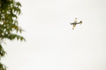 Gruiu (La da-i bataie)  8 - 10 mai.